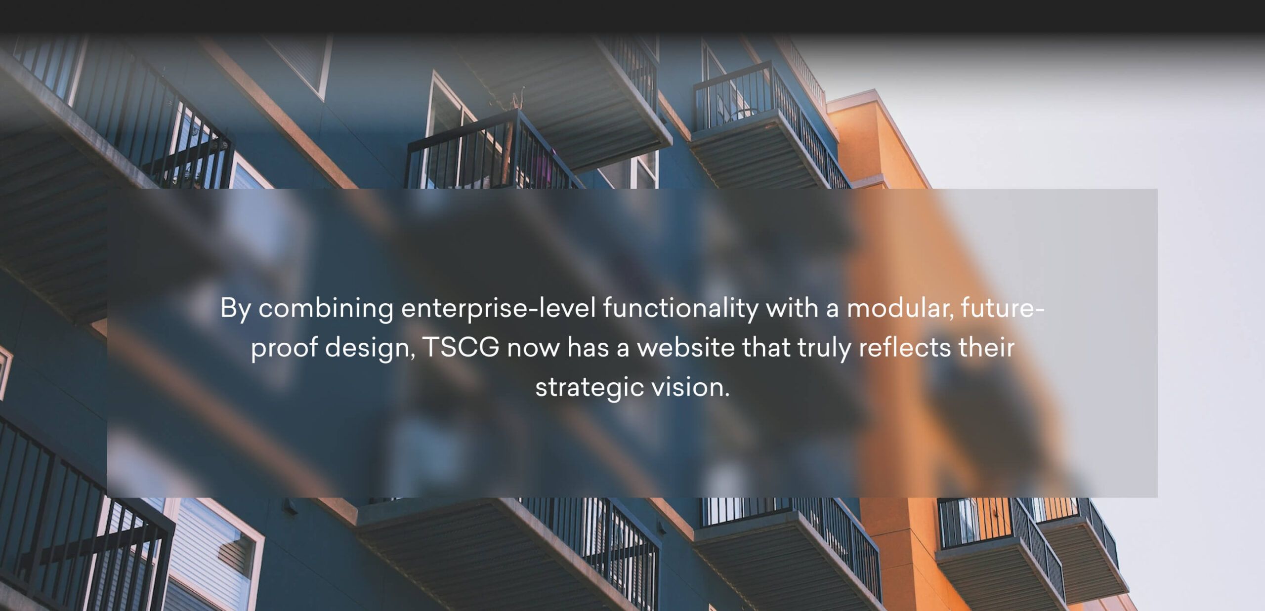 TSCG Now has a website reflecting their vision