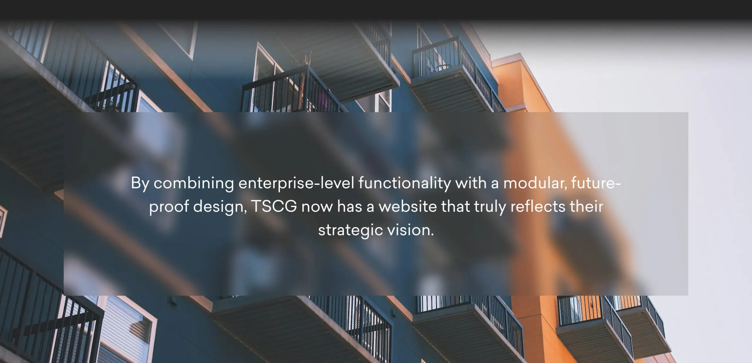 TSCG Now has a website reflecting their vision