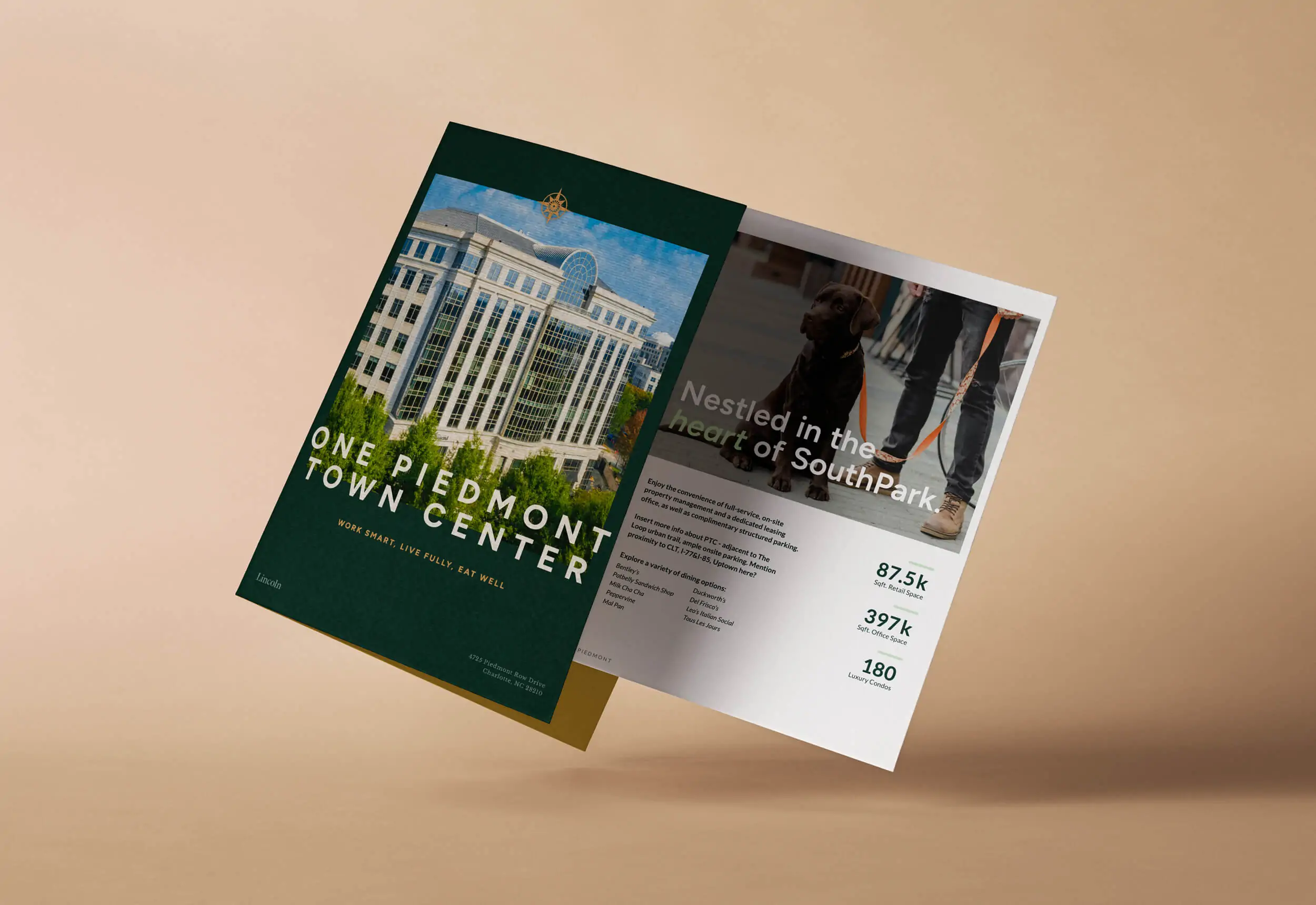 Essential Graphic Design Support for Your Branding Success