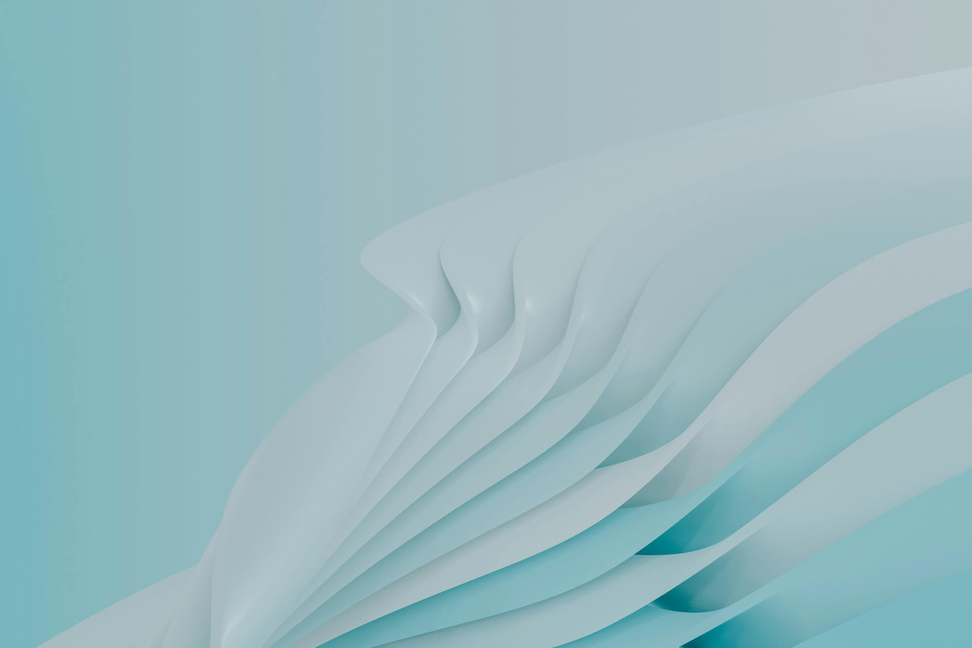 Case Study: Timeline Planning for a Rebranding Project