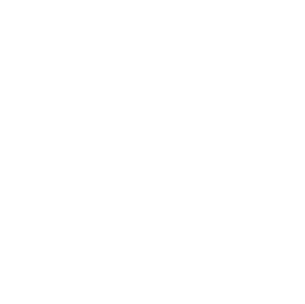 Go Validate Logo White@2x
