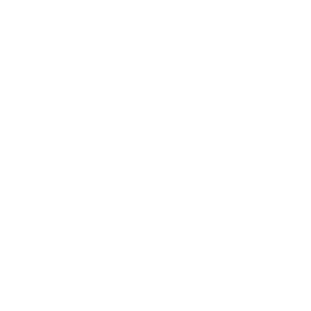 Lincoln Logo White@2x