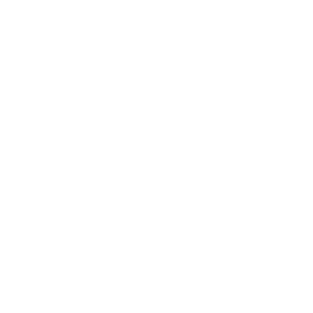 Swoop Logo White@2x