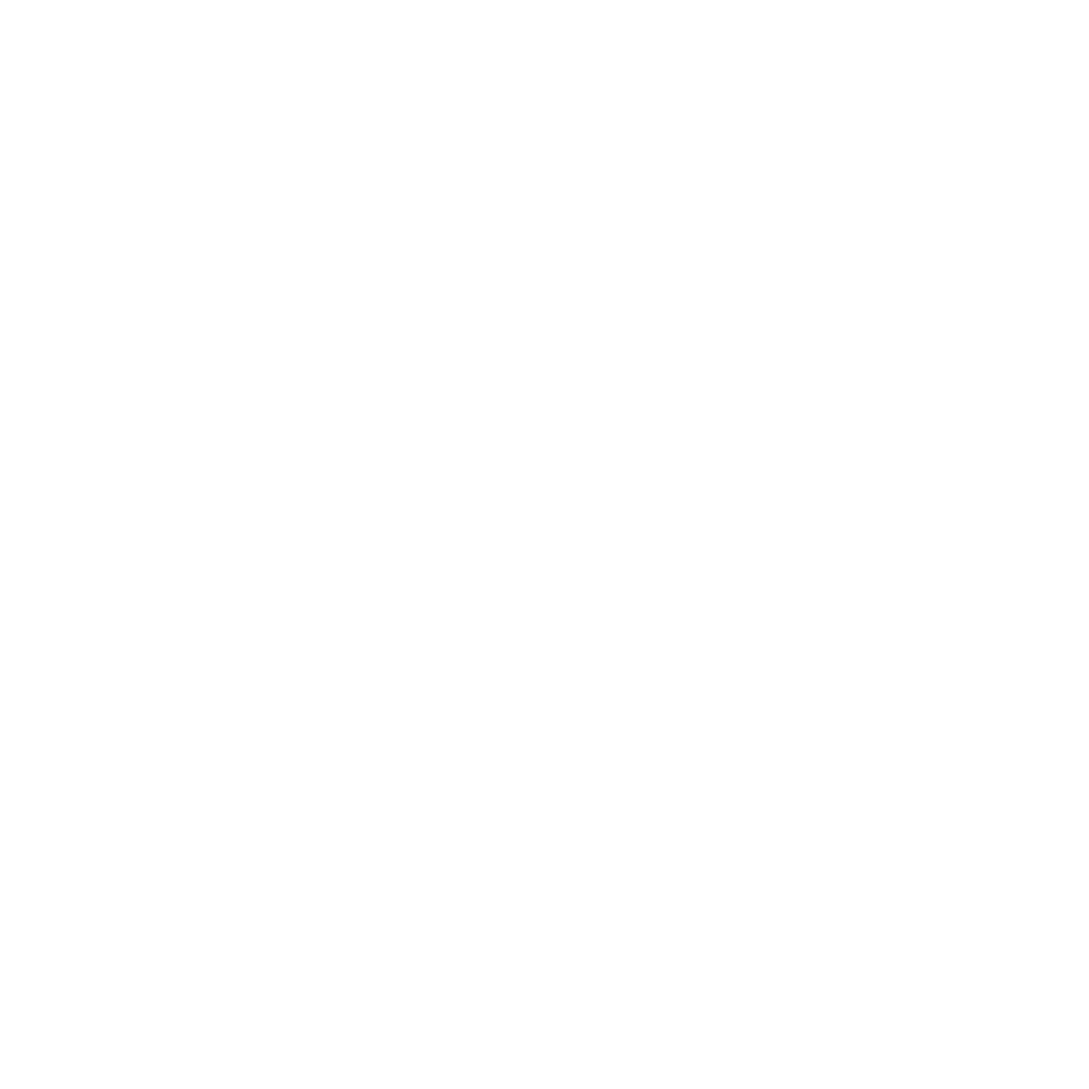 Vanish Screens Logo White@2x