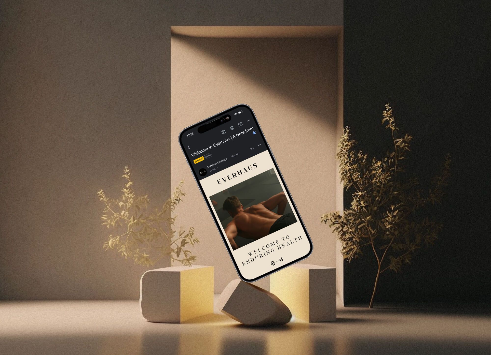 Everhaus Email Marketing