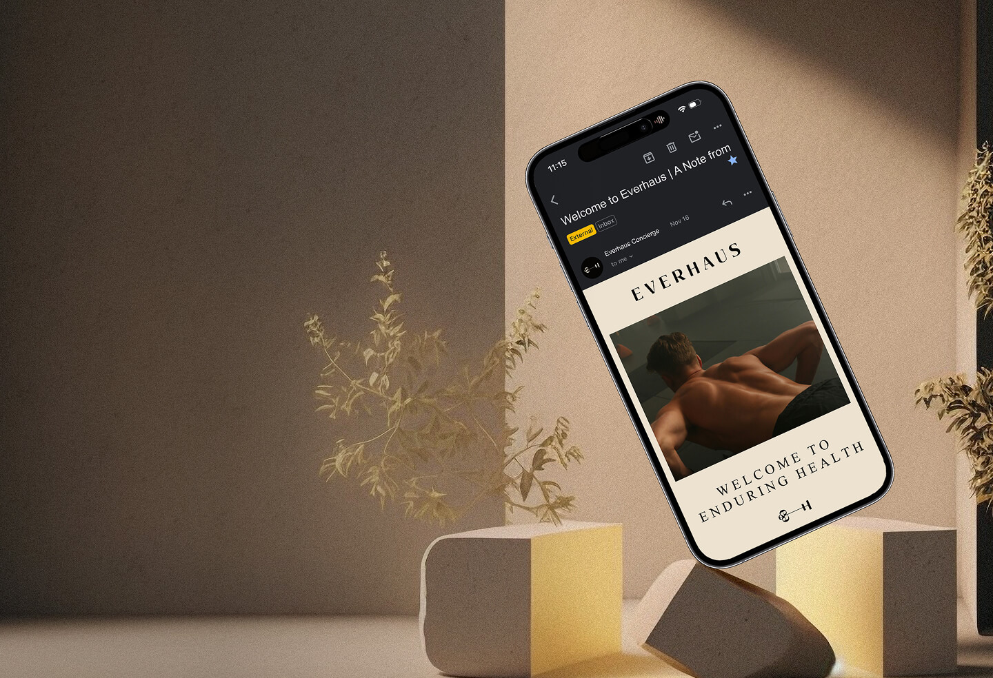 Everhaus Website Mobile view