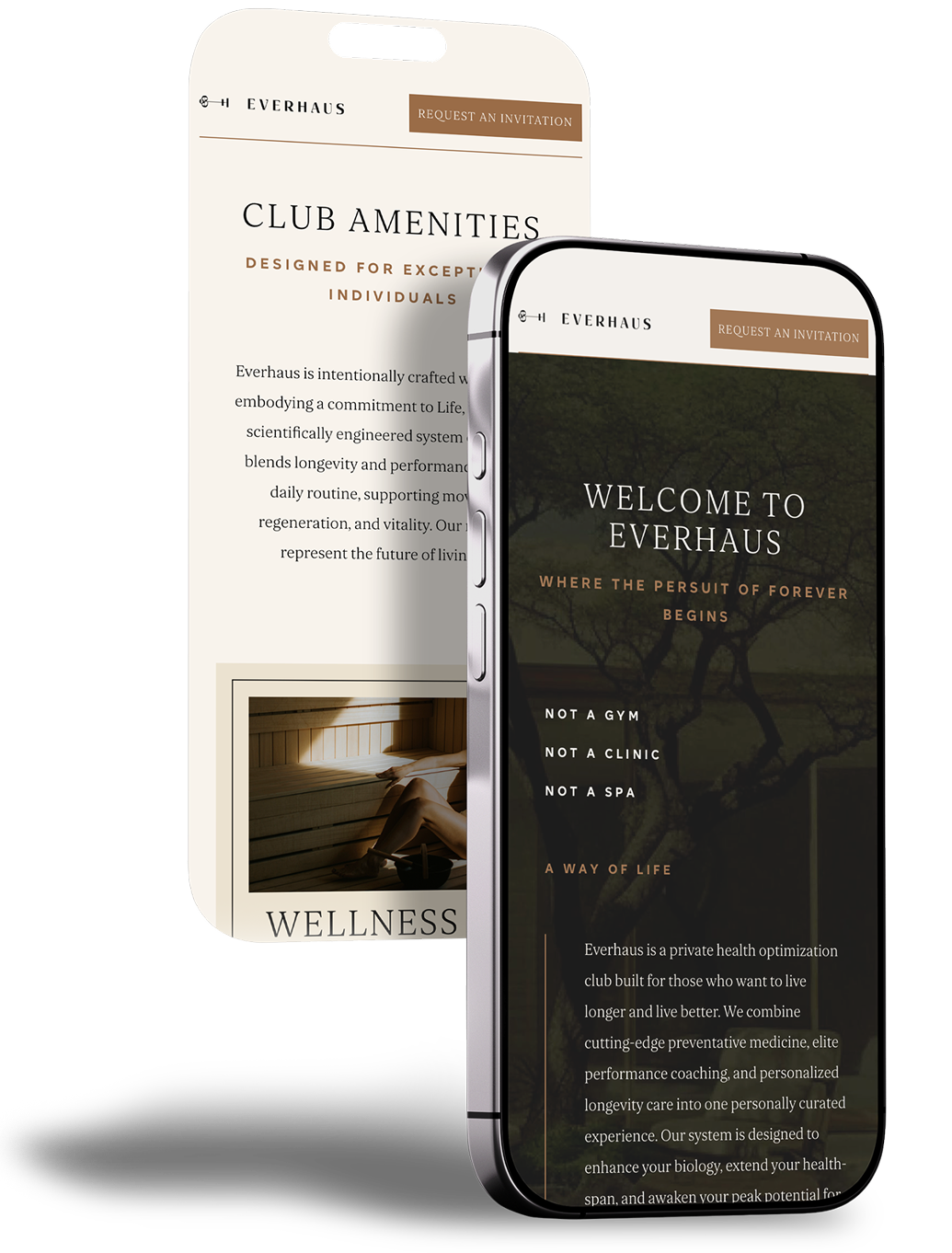 Everhaus website on mobile phone